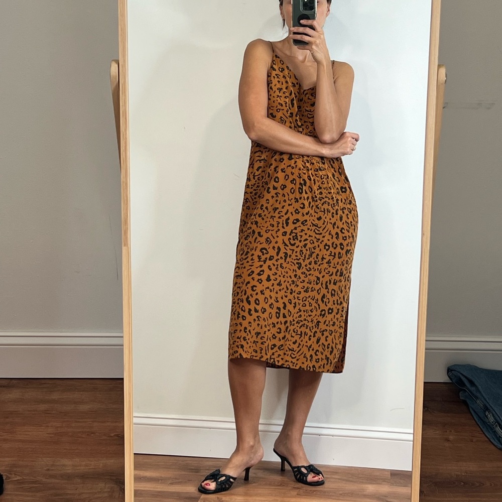 Madewell Silk Dress